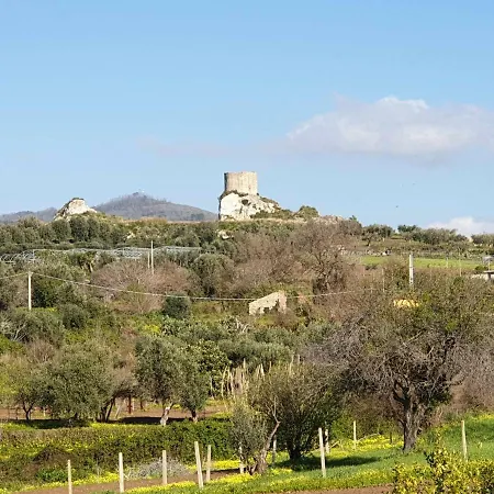 Apartmán In Affitto In Calabria Case Vacanza In Calabria Villino Annamaria Ricadi
