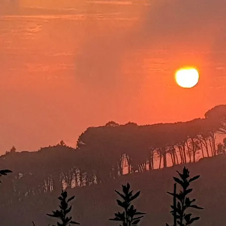 In Affitto In Calabria Case Vacanza In Calabria Villino Annamaria Appartamento Ricadi